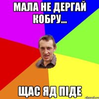 МАЛА НЕ ДЕРГАЙ КОБРУ... ЩАС ЯД ПІДЕ