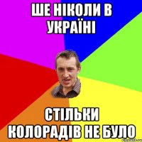 ше ніколи в україні стільки колорадів не було