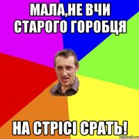 МАЛА,НЕ ВЧИ СТАРОГО ГОРОБЦЯ НА СТРІСІ СРАТЬ!