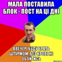 Мала поставила блок - пост на цi днi Ввечерi буду брать штурмом, без кровi не обойтись