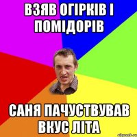 Взяв огірків і помідорів Саня пачуствував вкус літа