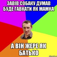 Завів собаку думав буде гавкати як мамка а він жере як батько