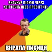 висунув пісюн через хвірточку щоб провітрить вкрала лисиця