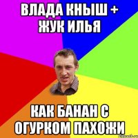 влада кныш + жук илья как банан с огурком пахожи