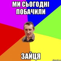 ми сьогодні побачили зайця