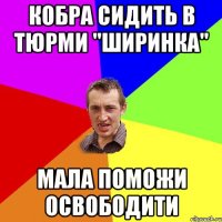 КОБРА СИДИТЬ В ТЮРМИ "ШИРИНКА" МАЛА ПОМОЖИ ОСВОБОДИТИ