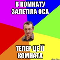 в комнату залетіла оса тепер це її комната