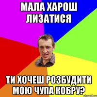 МАЛА ХАРОШ ЛИЗАТИСЯ ТИ ХОЧЕШ РОЗБУДИТИ МОЮ ЧУПА КОБРУ?