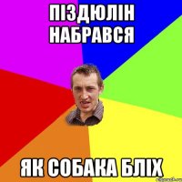 Піздюлін набрався Як собака бліх