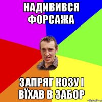 надивився форсажа запряг козу і вїхав в забор