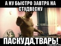 А ну быстро завтра на студвесну ПАСКУДА,ТВАРЬ!