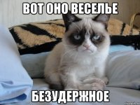 Вот оно веселье Безудержное