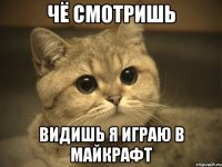 чё смотришь видишь я играю в майкрафт