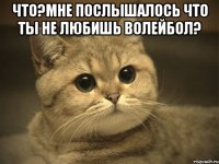 что?Мне послышалось что ты не любишь волейбол? 