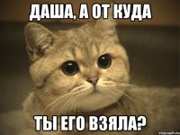 Даша, а от куда ты его взяла?