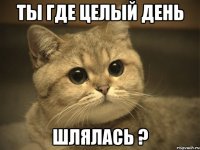 Ты где целый день шлялась ?