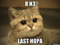 я из Last Hopa