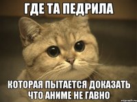 Где та педрила которая пытается доказать что аниме не гавно