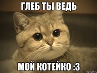 Глеб ты ведь мой котейко :3