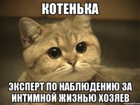 КОТЕНЬКА эксперт по наблюдению за интимной жизнью хозяев