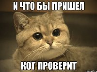 И что бы пришел Кот проверит