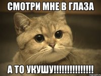 Смотри мне в глаза А то укушу!!!!!!!!!!!!!!!