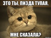 Это ты, пизда тупая, мне сказала?