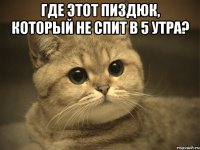 Где этот пиздюк, который не спит в 5 утра? 