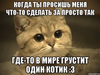 Когда ты просишь меня что-то сделать за просто так Где-то в мире грустит один котик :3