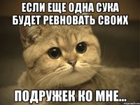 если еще одна сука будет ревновать своих подружек ко мне...