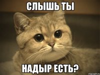 Слышь ты Надыр есть?