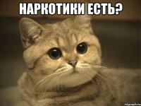 НАРКОТИКИ ЕСТЬ? 