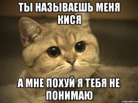 ты называешь меня КИСЯ а мне похуй я тебя не понимаю