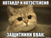 Котандр и Котэстейсия Защитники ВВАК.