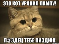 Это кот уронил лампу! П@здец тебе пиздюк