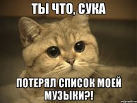 Ты что, сука Потерял список моей музыки?!