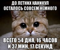 ДО ЛЕТНИХ КАНИКУЛ ОСТАЛОСЬ СОВСЕМ НЕМНОГО ВСЕГО 54 ДНЯ, 16 ЧАСОВ И 37 МИН, 17 СЕКУНД