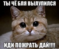 ты чё бля вылупился ИДИ ПОЖРАТЬ ДАЙ!!!!