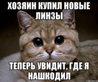 Хозяин купил новые линзы Теперь увидит, где я нашкодил