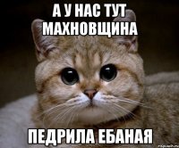 а у нас тут махновщина педрила ебаная