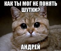 как ты мог не понять шутки? андрей