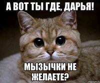 А вот ты где, Дарья! Мызычки не желаете?