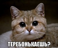  Теребонькаешь?