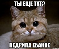 ты еще тут? педрила ебаное