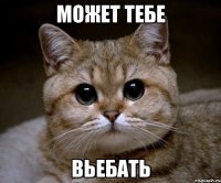 Может тебе Вьебать