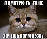 Я смотрю ты тоже хочешь норм весну