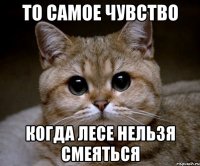 То самое чувство когда Лесе нельзя смеяться