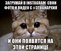 ЗАГРУЖАЙ В INSTAGRAM  СВОИ ФОТО И ВИДЕО С #ЭТОАНАРХИЯ И ОНИ ПОЯВЯТСЯ НА ЭТОЙ СТРАНИЦЕ