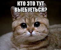 Кто это тут выебуеться? 