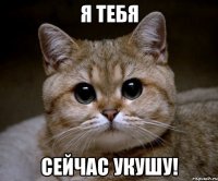 я тебя сейчас укушу!